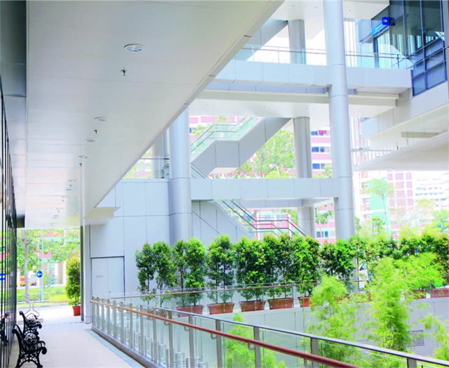 新加坡邱德拔醫(yī)院